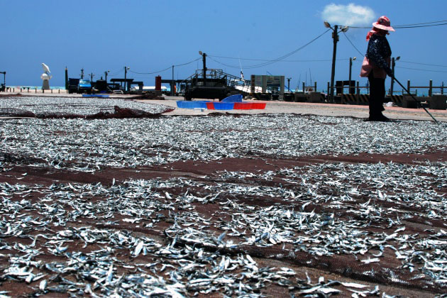 我不要去環島–東、北、南海經典四日